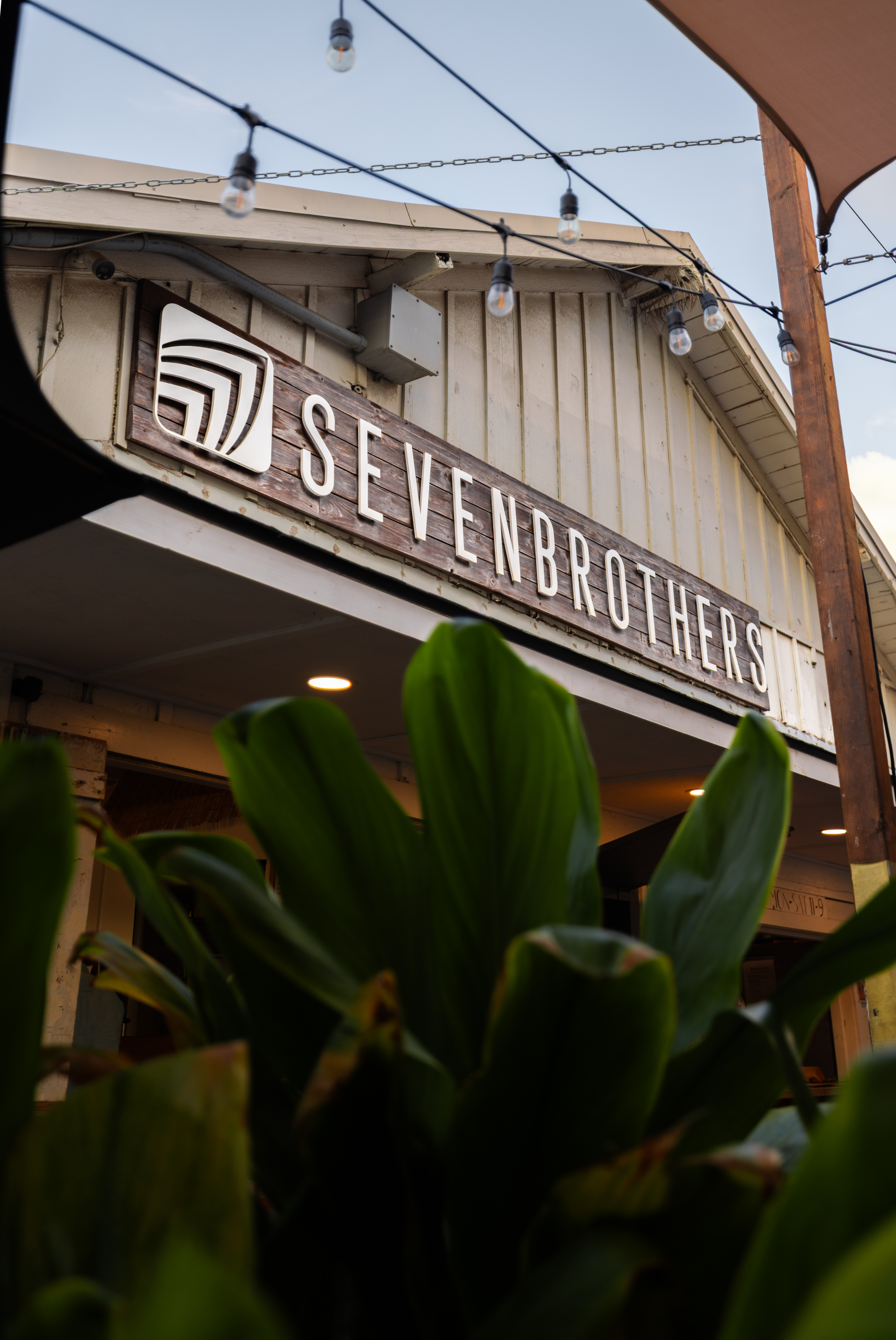 Seven Brothers
